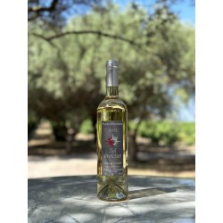 Sol Invictus : Muscat de Frontignan (vin doux naturel) AOC Muscat de Frontignan du Château de La Peyrade, à Frontignan
